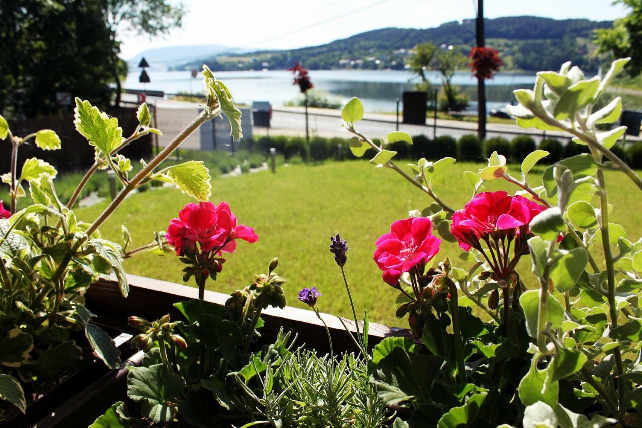 Koszarka Venue & Spa Gródek Nad Dunajcem 외부 사진